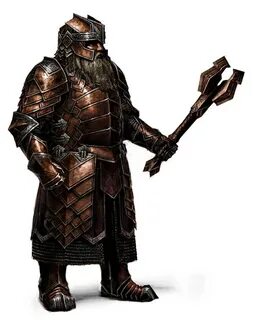 Erebor Heavy Regal Armor Nobleman 2 image - LordDainOfIronHi