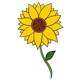 How to Draw a Sunflower - Really Easy Drawing Tutorial