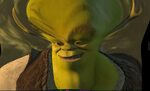 Funny Shrek Face Meme All in one Photos