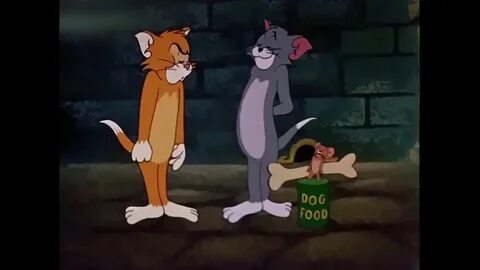 Tom and Jerry Switchin' Kitten (1961) - YouTube