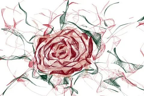 Graffiti Rose Drawing at PaintingValley.com Explore collecti