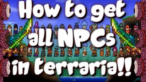 how to get all npcs in terraria