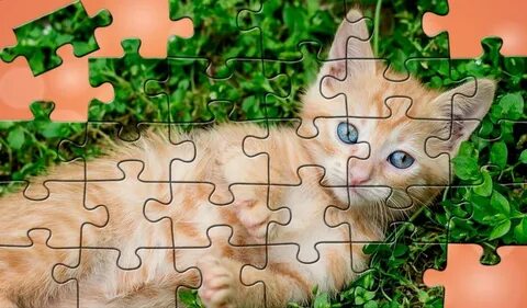 Android ডাউনলোডের জন্য Puzzles for all APK
