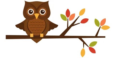 Owl Teacher Cartoon Png