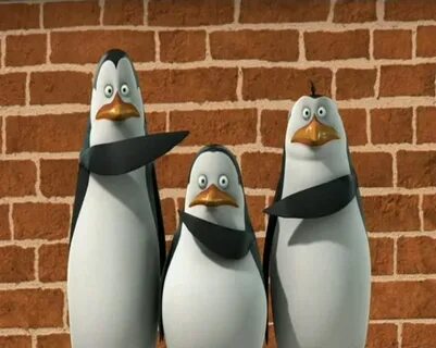 Conversation in POM Quotes. - Penguins of Madagascar - Fanpo