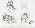 The Best 13 Warrior Cats Cat Poses Drawing Reference - Denad