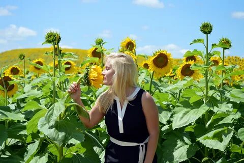 Free Images : nature, outdoor, person, cloud, girl, sun, fie