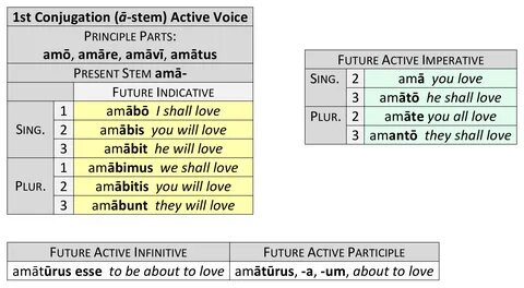 New Latin Grammar