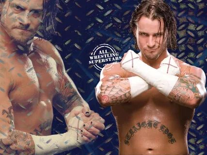WWE The Straight Edge Superstar - CM Punk
