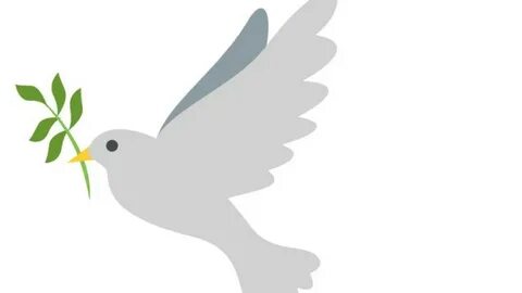 Paloma de la paz: Descubre por qué la paloma es el símbolo d