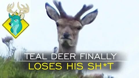 TL;DR - Teal Deer Finally Loses His Sh*t - YouTube