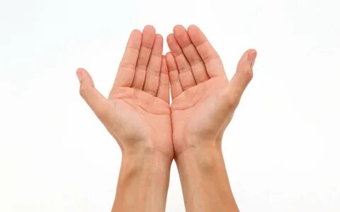 Free Hands, Download Free Hands png images, Free ClipArts on