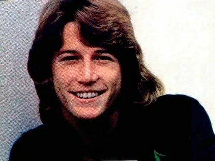 Andy Gibb picture