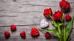Обои красный цвет, тюльпаны, цветок, растение, лепесток WQHD