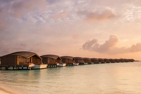 Отдых в отеле Club Med The Finolhu Villas 5* (Мале/Мальдивы)