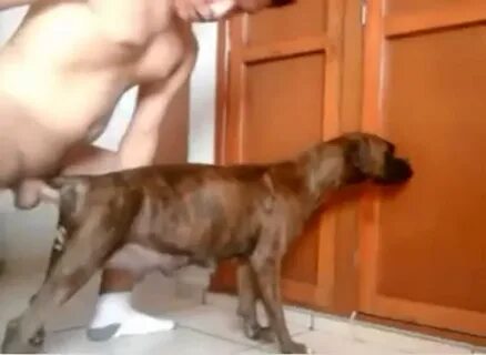 Pictures showing for Boy Fucked By Dog - www.redpornpics.com