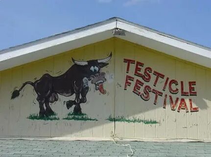 Montana Testicle Festival (Testy Fest) - Clinton, Montana : 