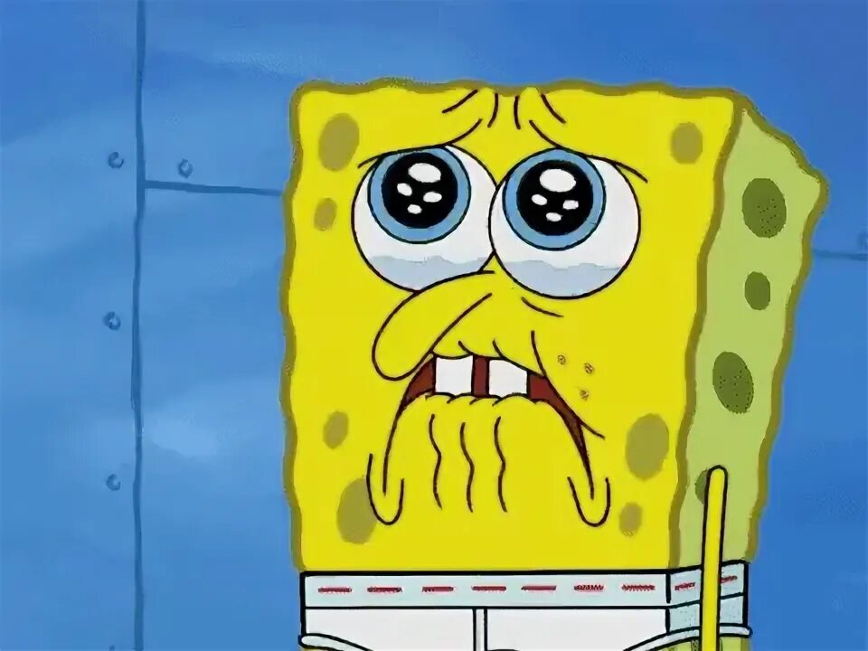 A day without tears spongebob squarepants season 7 GIF - Fin