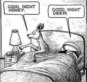 Oh deer, oh honey! Good night honey, Pinterest humor, Good n