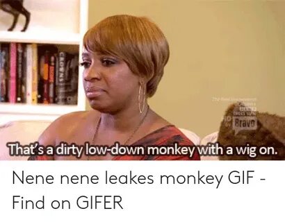 🐣 25+ Best Memes About Monkey Gif Monkey Gif Memes