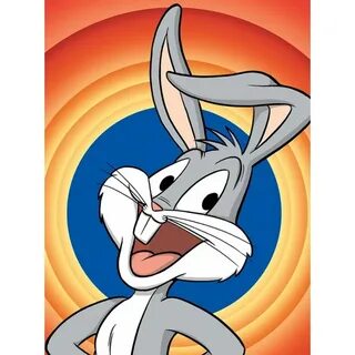 РУБАШКА BUGS BUNNY ХЛОПОК: Нижнее белье оптом. Вирона54. Бре