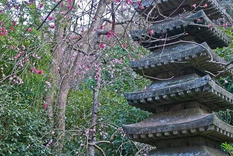 File:Ankokuronji-Garden.jpg - Wikipedia