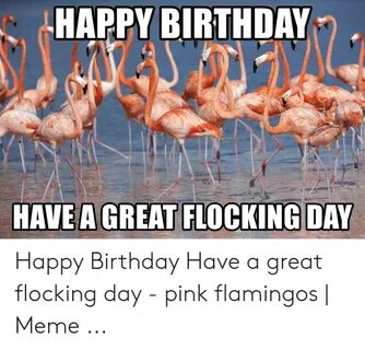 HAPPY BIRTHDAY Memegeneratornet Happy Birthday Have a Great 