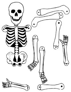 Printable Skeleton Cut Out Related Keywords & Suggestions - 