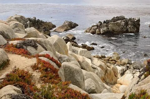 File:17-Mile Drive Monterey September 2012 005.jpg - Wikimed