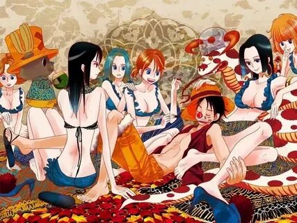 ✨ Гарем ✨ Ван пис 🌸 Ван Пис/One Piece RUS Amino