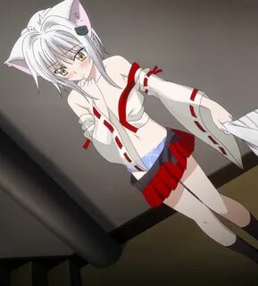 Is she actually the best dxd? - /a/ - Anime & Manga - 4archive.org
