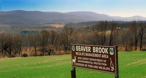 File:Beaver Brook Wildlife Management Area (Revisited) (1) (