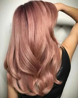 8 Best At-Home Hair-Color Kits Rose hair, Hair color rose go