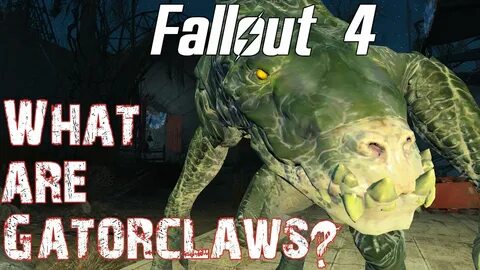The secret behind Gatorclaws- Fallout 4 theories and lore - 