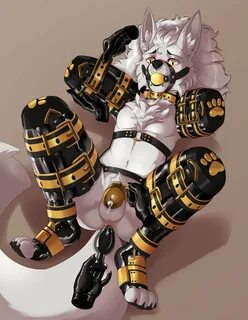 LIN 🔜 MFF on Twitter 