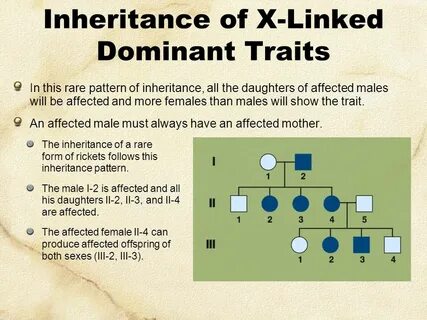 Linked Genes, Sex Linkage and Pedigrees - ppt video online d