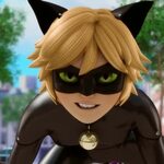 Cat Noir is hot ❤ 😍 Miraculous ladybug memes, Miraculous lad