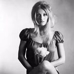 Sharon Tate Wallpapers - Wallpaper Cave