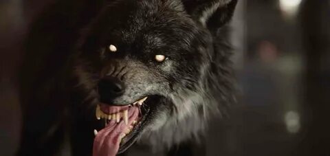 Werewolf: The Apocalypse Earthblood. Werewolves Attacking! -