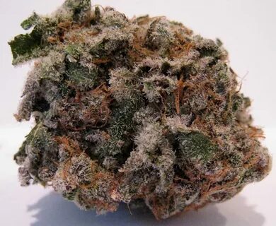 Blackberry Kush get your Cannabis at 420kushlife online shop