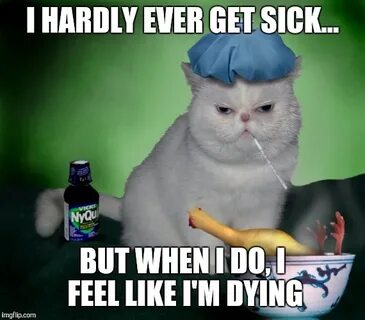 Sick Cat - Imgflip
