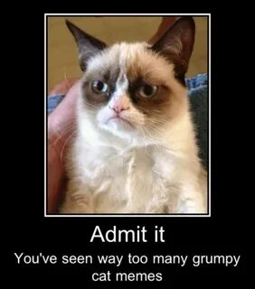 U know it Funny grumpy cat memes, Grumpy cat birthday, Grump