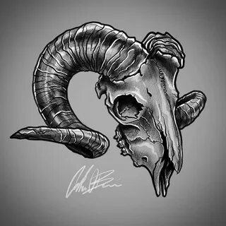Ram skull Animal skull tattoos, Skull tattoo design, Skull d