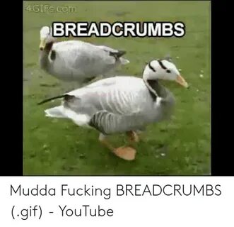 ✅ 25+ Best Memes About Aww Yiss Breadcrumbs Meme Aww Yiss Br