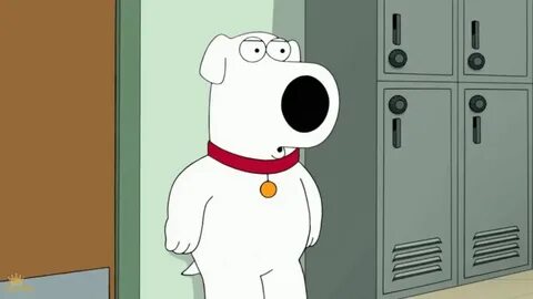 Лучшие Family Guy Full Episode GIF Gfycat