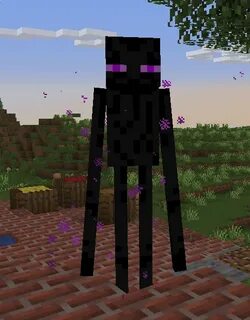 LGBTChat Store Enderman