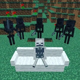 5 wither skeletons, 1 skeleton r/MinecraftMemes Minecraft Kn