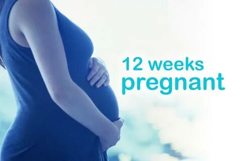12 Weeks Pregnant, Pregnancy Stages, First Trimester