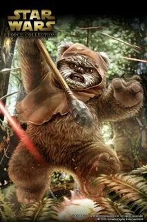 Ewok Pics Pictures