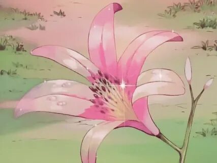 𝕴 𝖈 𝖊 𝖑 𝖆 𝖓 𝖉 𝕱 𝖔 𝖝 - star lilies! Aesthetic anime, Cute ani